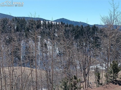 Property view of mountains with a view of trees