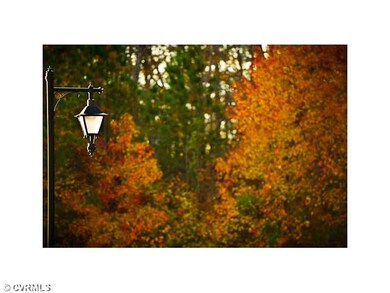 View - Just one view of the mature greenery and be