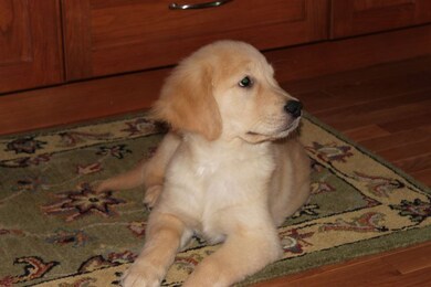 413 Central St unit 3-204, Central Falls, RI 02863 - photo 3