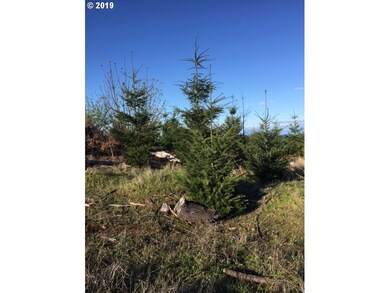 0 Oakdale Rd unit 591849589, Dallas, OR 97338 - photo 4