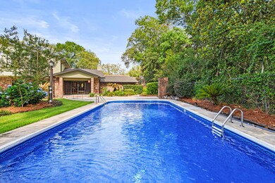 Backyard/ Pool