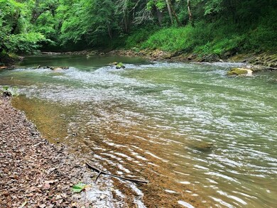 121 River Dr, Dunlap, TN 37327 - photo 4