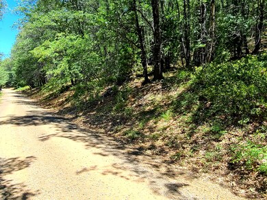 Your Aspen Road