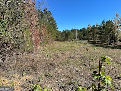 TR 3 Culp Lake Rd, Cedartown, GA 30125 - photo 2