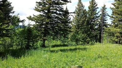 0 Us Highway 89 unit 328205, Saint Mary, MT 59401 - photo 4