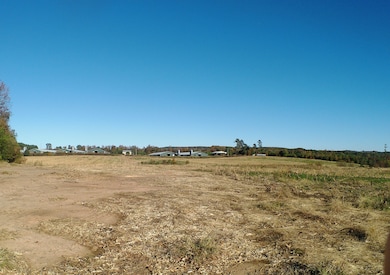 Tbd Concord Church Rd, Ellerbe, NC 28338 - photo 3