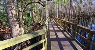 448 Fletcher Ave, Lake Placid, FL 33852 - photo 4