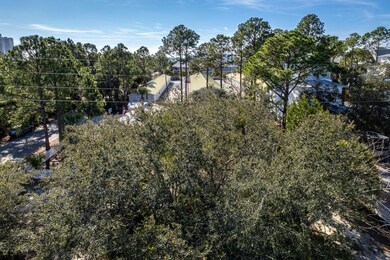 40 Foot South View
