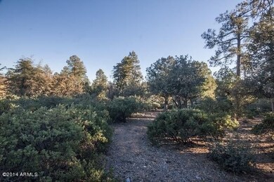 IMG_9575ps