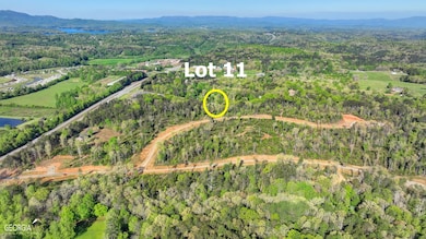 LOT 11 Greenfield Rd, Morganton, GA 30560 - photo 5