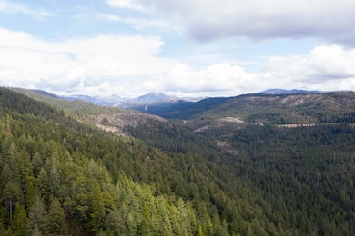 11023 Lowell Hill Rd, Nevada City, CA 95959 - photo 5