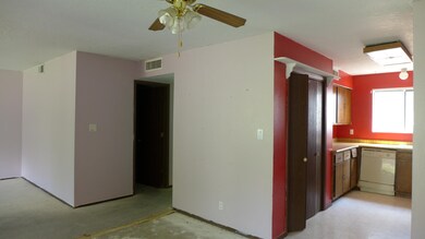 P1000447