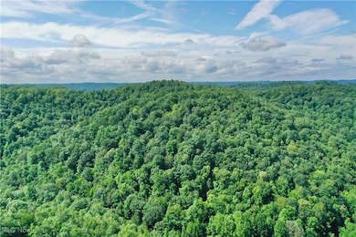 0002 Broomstick Rd, Big Bend, WV 26136 - photo 7