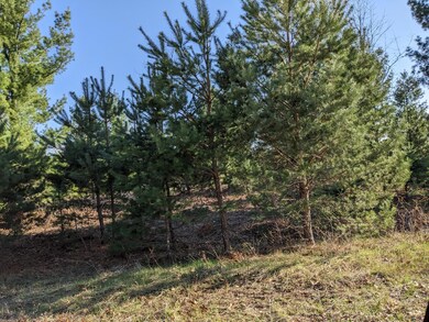 0 Jussi St unit 23021805, Kaleva, MI 49645 - photo 6