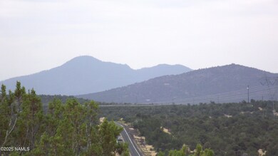 1641 Lara Ln, Williams, AZ 86046 - photo 4