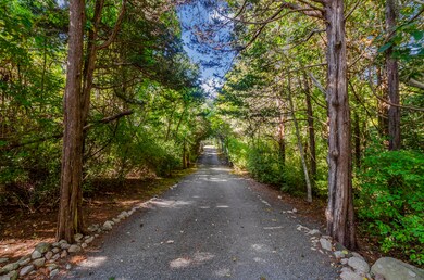 Driveway--House toward Plum