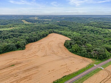 3-web-or-mls-DJI_0678