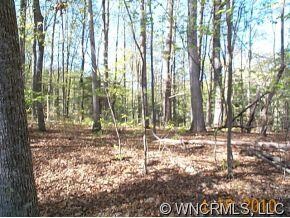 00 Seay Rd, Candler, NC 28715 - photo 2