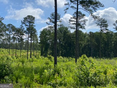 709 Giles Rd, Forsyth, GA 31029 - photo 4