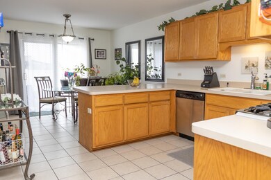 4728 Orrefors Ct, Joliet, IL 60431 - photo 6