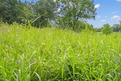 Table Rock Lake Close Acreage