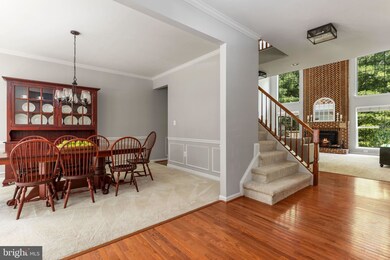 501 E Skyline Dr, Purcellville, VA 20132 - photo 4