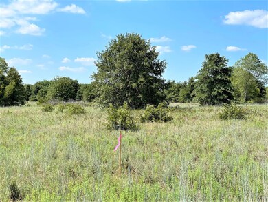 1200 Ross Ln, Springtown, TX 76082 - photo 7