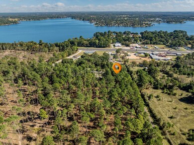 0, Flint, TX 75762 - photo 6