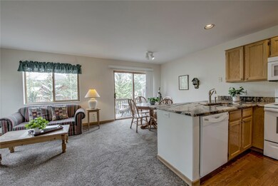 44 Ryan Gulch Rd unit A1, Silverthorne, CO 80498 - photo 3