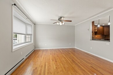 23 Cedar Square, Millis, MA 02054 - photo 5