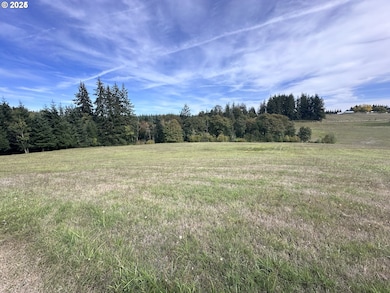 0 Canaan Rd unit 158917480, Deer Island, OR 97054 - photo 5