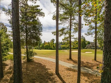 113 Colonial Trail Ct, Pittsboro, NC 27312 - photo 4