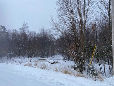 Lot 225 W Birch Ln, Beaver Cove, ME 04441 - photo 5