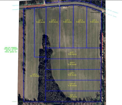 Lot 10 Davis Rd SW, Valdosta, GA 31601 - photo 2