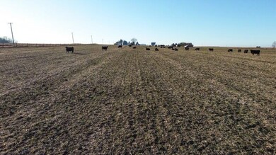 T5_DJI_0062_800x450