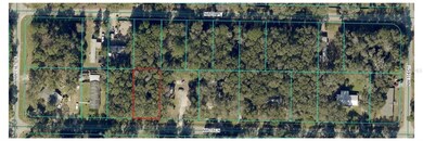 0 NW 15th Ln unit MFROM714910, Ocala, FL 34482 - photo 2