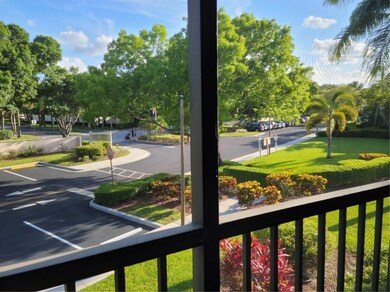 View from Screened Balcony
