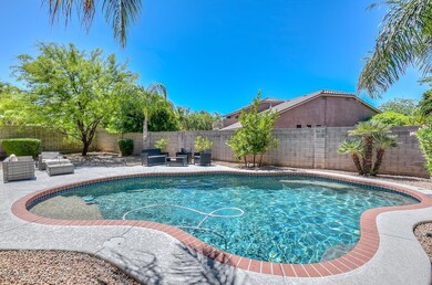 Ulrich-Pool-Backyard