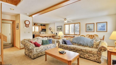 45 Deerfield Cir, Davis, WV 26260 - photo 2