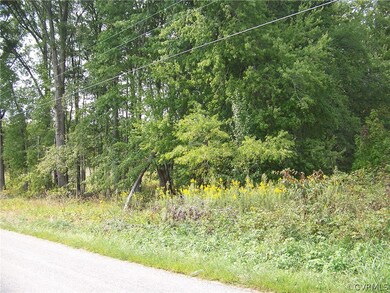 This is where the over-growth ends and the hardwoods begin.