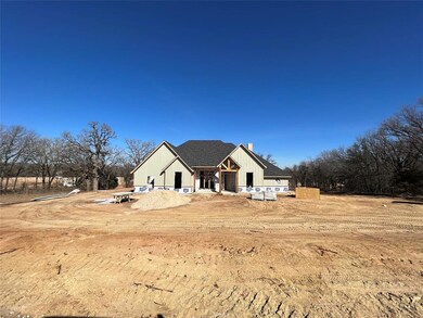 808 Lopez Run, Springtown, TX 76082 - photo 2