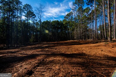 133 Wildwood Dr, Sparta, GA 31087 - photo 7