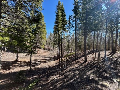 View of local wilderness