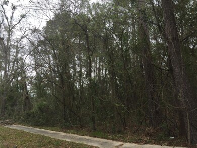 0 Duval Rd unit 868300, Jacksonville, FL 32218 - photo 5