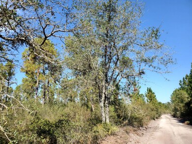 0 SW Prine Rd unit 19597163, Lee, FL 32059 - photo 5