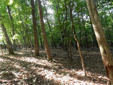 000 Rockridge Rd, Asheboro, NC 27205 - photo 6