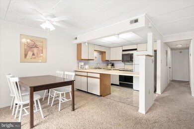 Thunder Island unit 73B, Ocean City, MD 21842 - photo 7