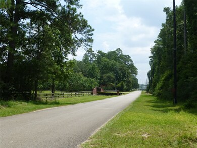 10103 Seneca Trail, Magnolia, TX 77354 - photo 2