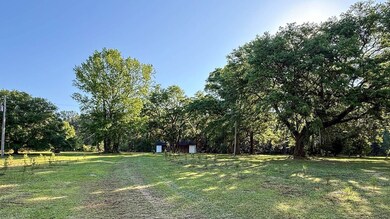 0 Norris Dr, Walterboro, SC 29475 - photo 4