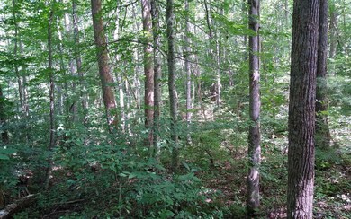 Additional View